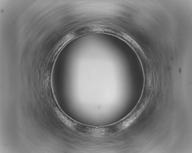 X0000060780801200511171241