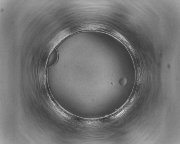 X0000060780802200511171241