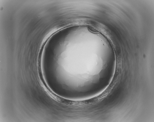 X0000060780803200511171241