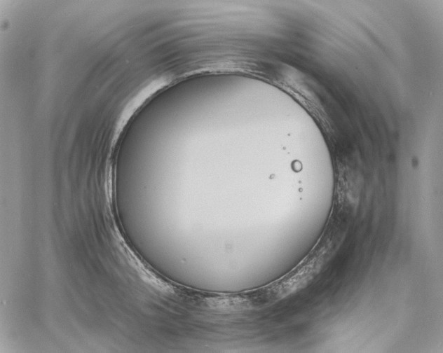 X0000060780804200511171241