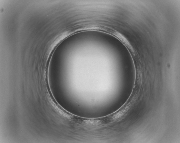 X0000060780805200511171241