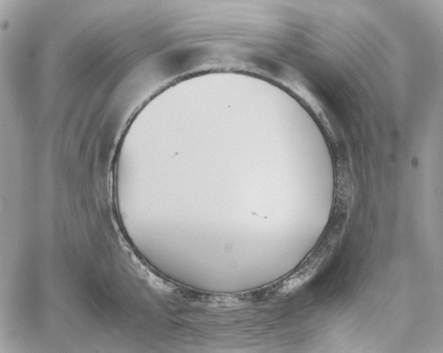 X0000060780807200511171241