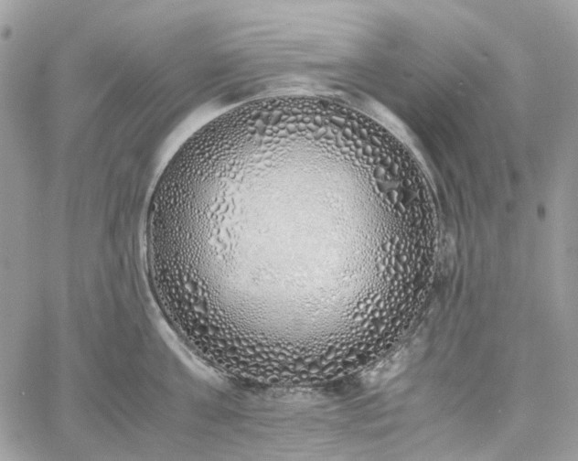 X0000060780811200511171241