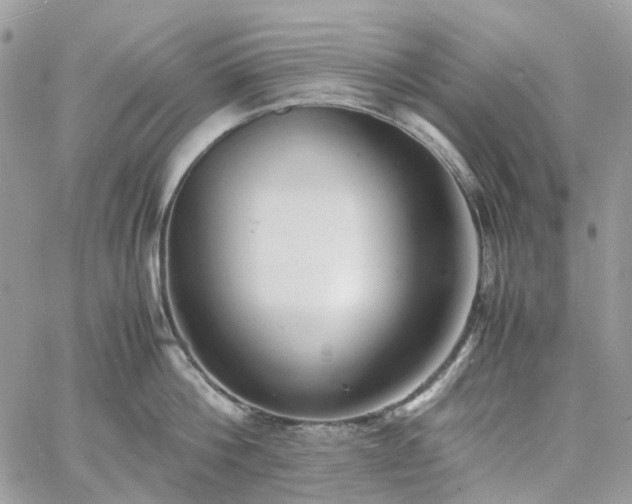 X0000060780812200511171241