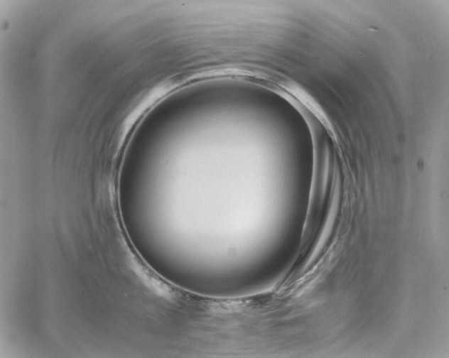 X0000060780813200511171241