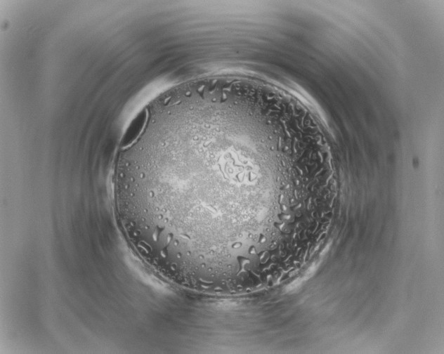 X0000060780814200511171241