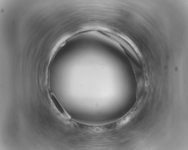 X0000060780815200511171241