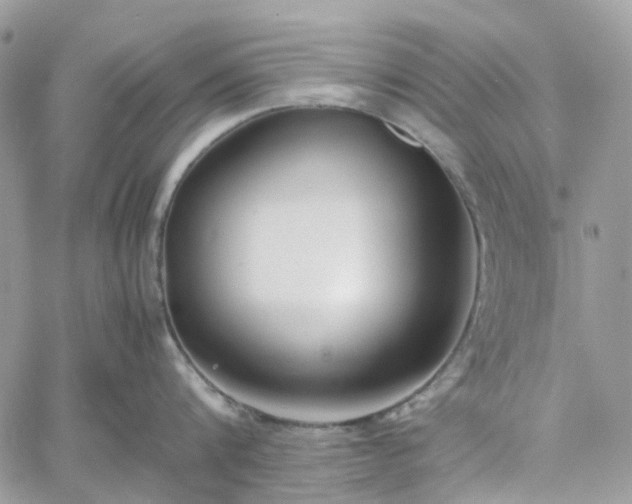 X0000060780816200511171241