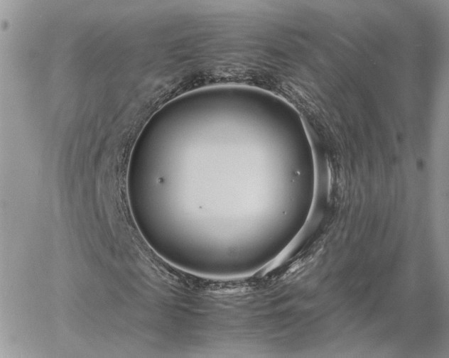 X0000060780817200511171240