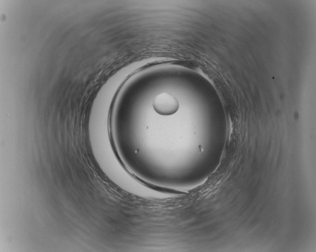 X0000060780818200511171240