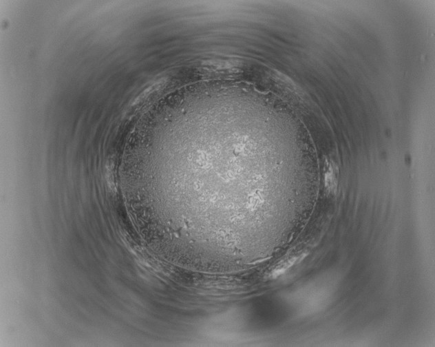 X0000060780819200511171240