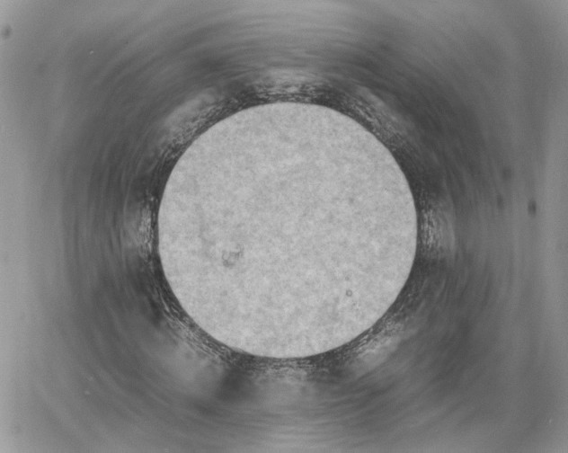 X0000060780820200511171240