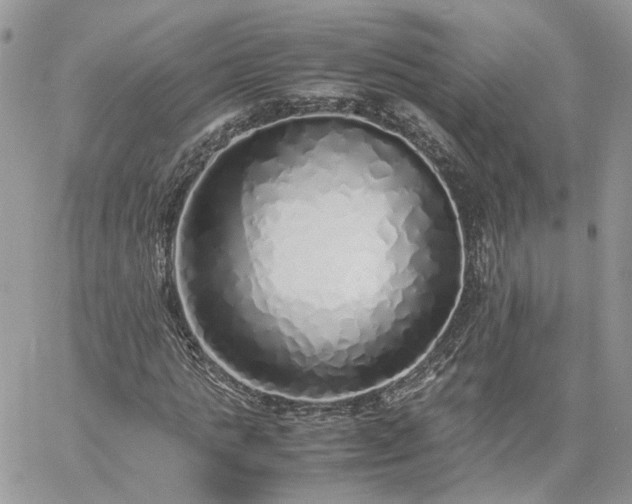 X0000060780821200511171240