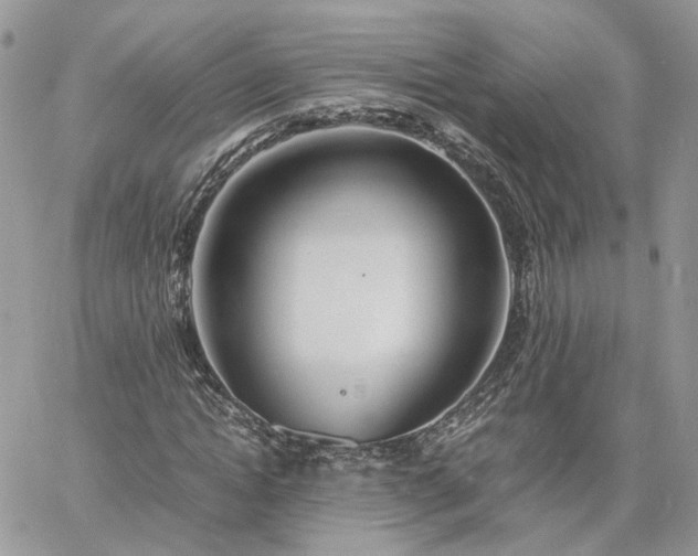 X0000060780822200511171240