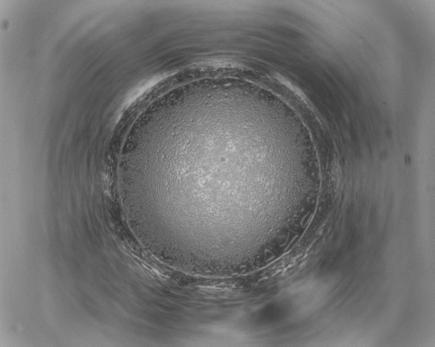 X0000060780823200511171240