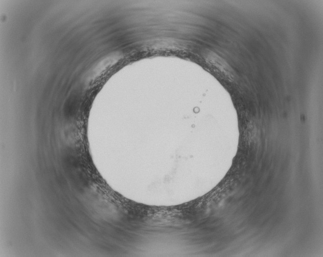 X0000060780824200511171240