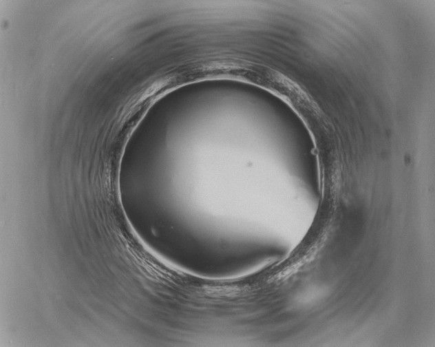 X0000060780825200511171240