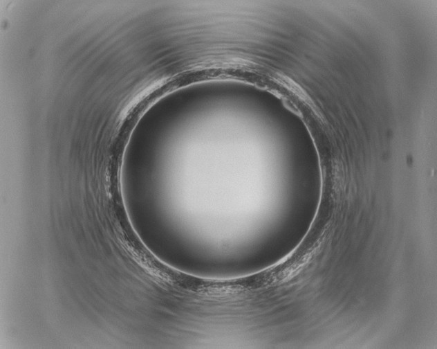 X0000060780826200511171240