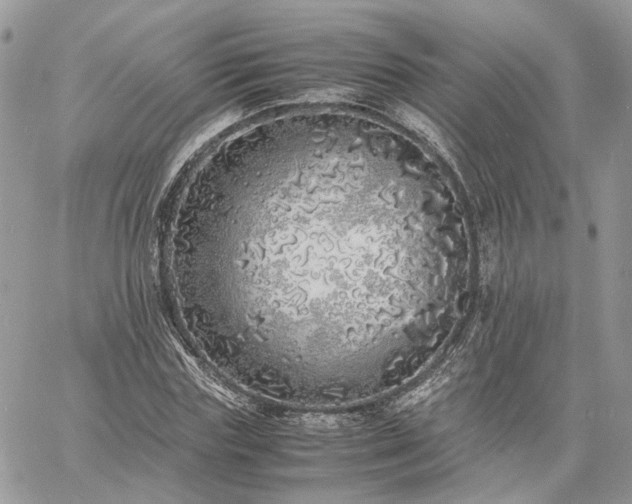 X0000060780827200511171240