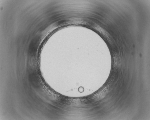 X0000060780828200511171241