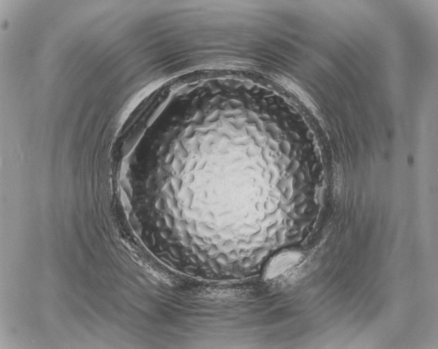 X0000060780829200511171241