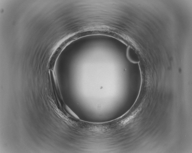 X0000060780830200511171241