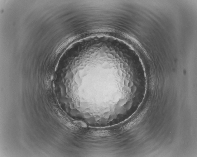 X0000060780833200511171241