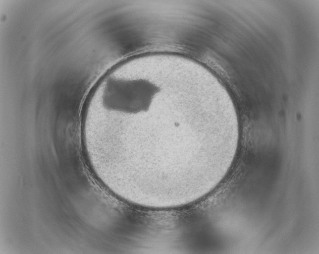 X0000060780836200511171241