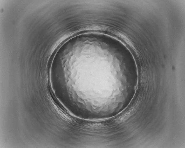 X0000060780837200511171241