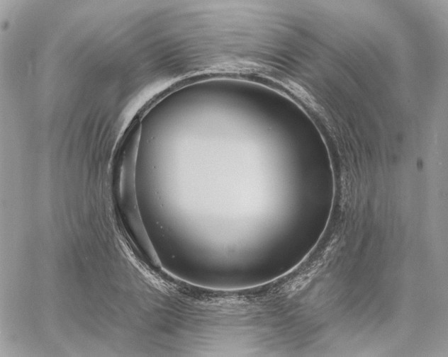 X0000060780838200511171241