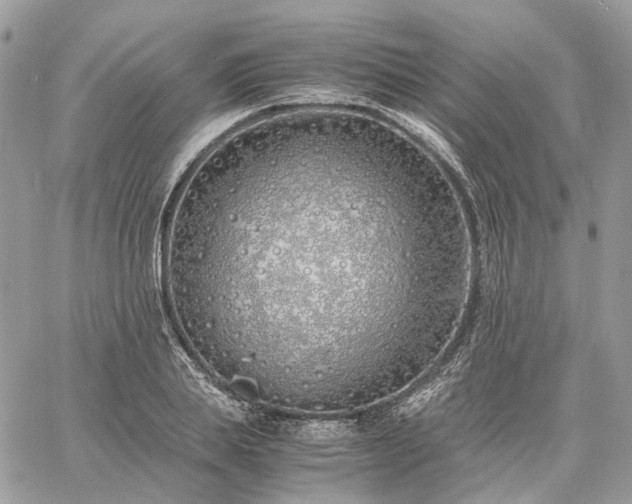 X0000060780839200511171241