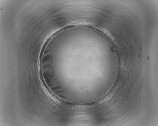 X0000060780840200511171241