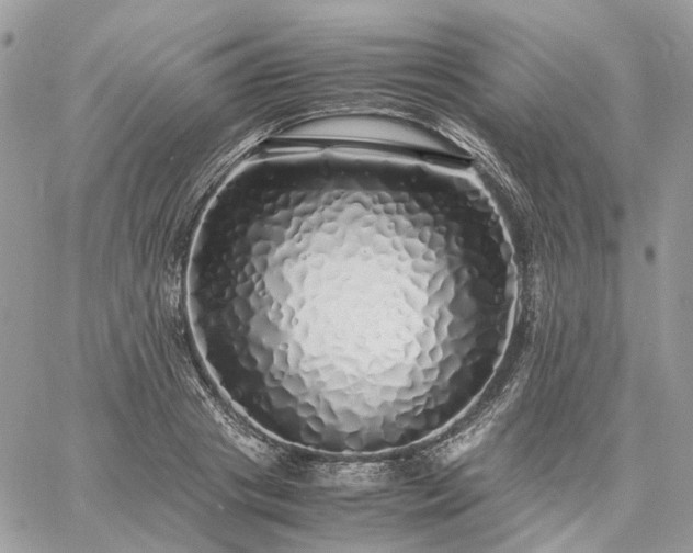 X0000060780841200511171241