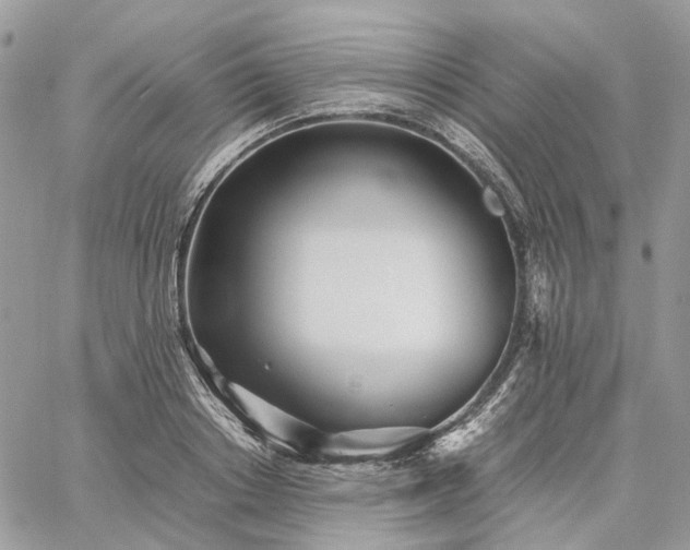 X0000060780842200511171241