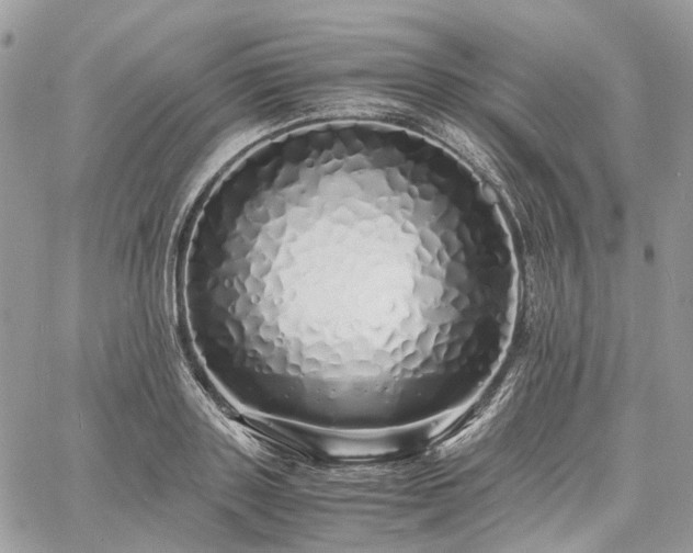 X0000060780843200511171241