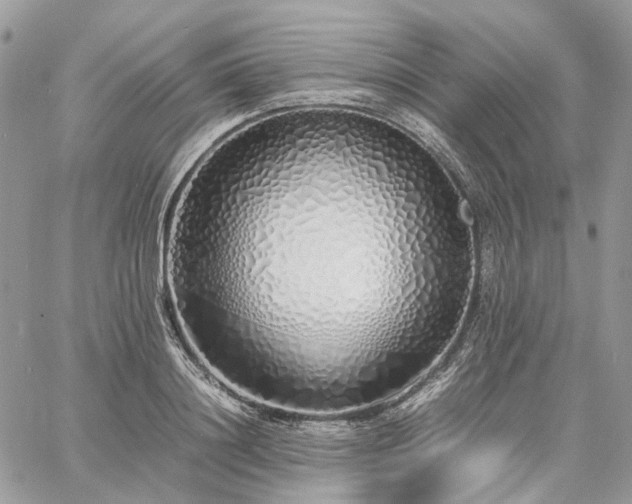 X0000060780844200511171241