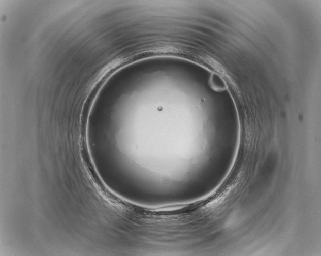 X0000060780845200511171241