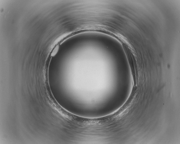 X0000060780846200511171241