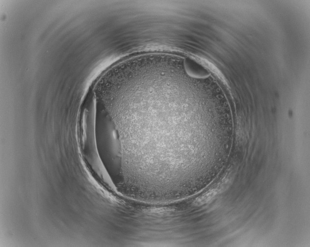 X0000060780847200511171241