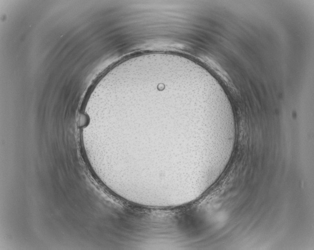 X0000060780848200511171241