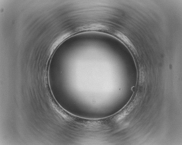 X0000060780850200511171241