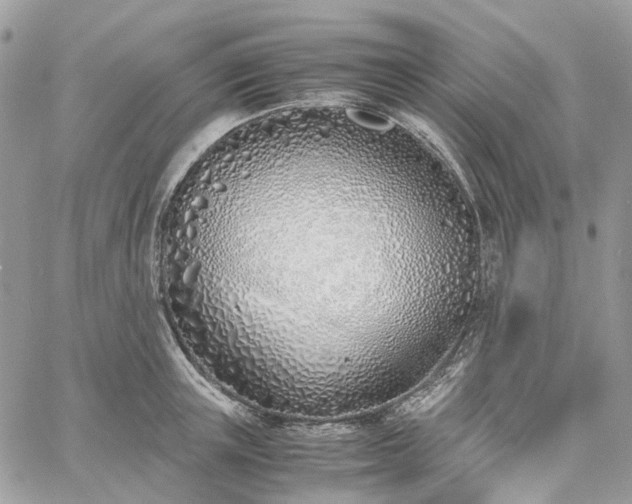 X0000060780851200511171241