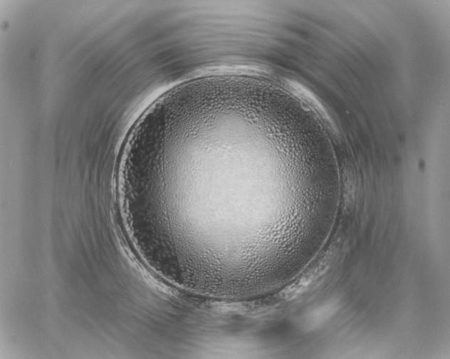 X0000060780852200511171241