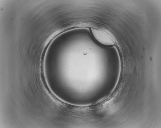 X0000060780853200511171241