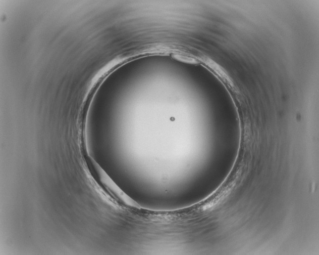 X0000060780854200511171241