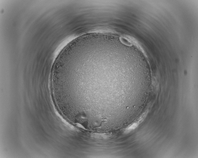 X0000060780855200511171241