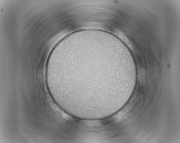 X0000060780856200511171241