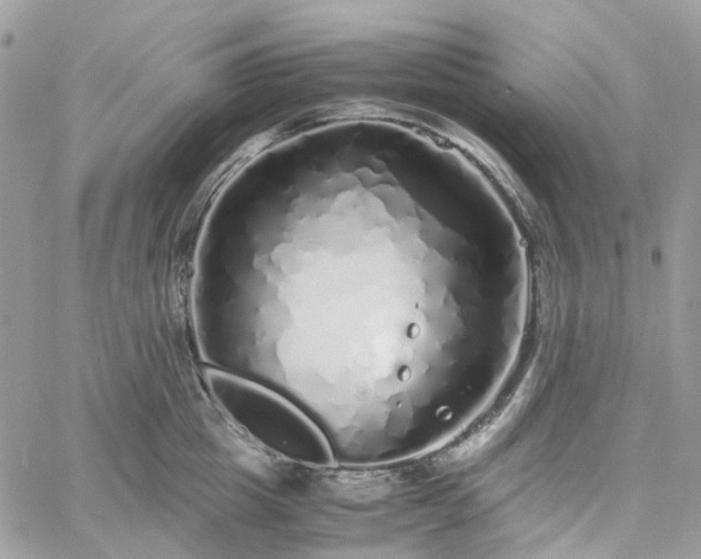 X0000060780857200511171241