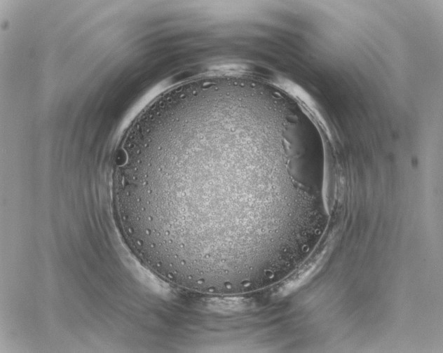 X0000060780859200511171241