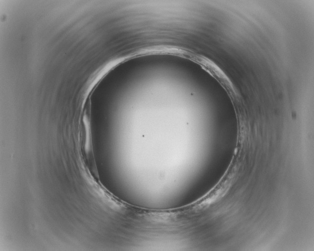 X0000060780860200511171241